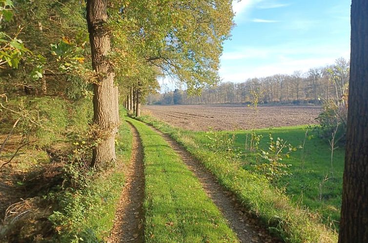 Huisje in Hollandscheveld