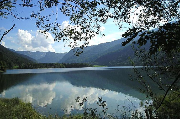 Appartements Ferienwohnungen Alpenblick