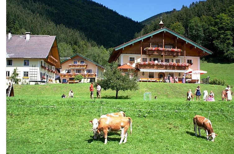 Am Ferienbauernhof Schmiedbauer com Salzkammergut