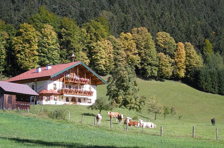 Am Ferienbauernhof Schmiedbauer com Salzkammergut