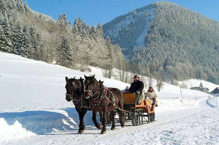 Am Ferienbauernhof Schmiedbauer com Salzkammergut