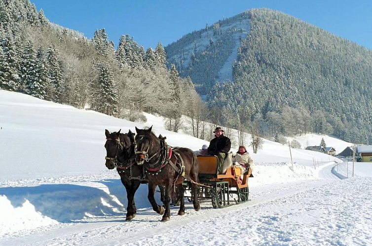 Am Ferienbauernhof Schmiedbauer com Salzkammergut