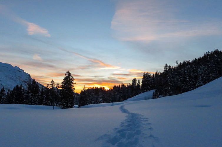 Appartement Val Neige Apt. 12