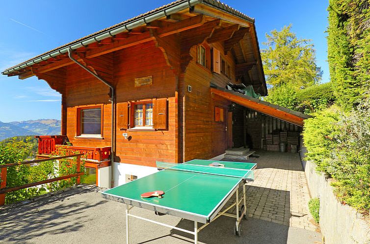 Vakantiehuis Chalet Zan-Fleuron