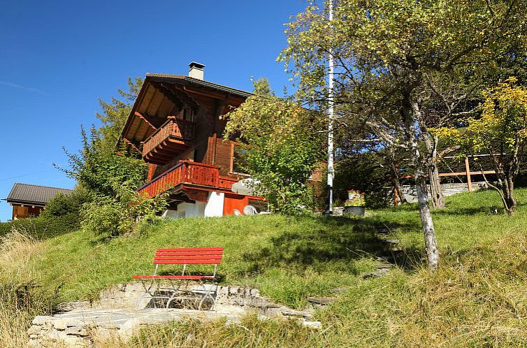 Vakantiehuis Chalet Zan-Fleuron