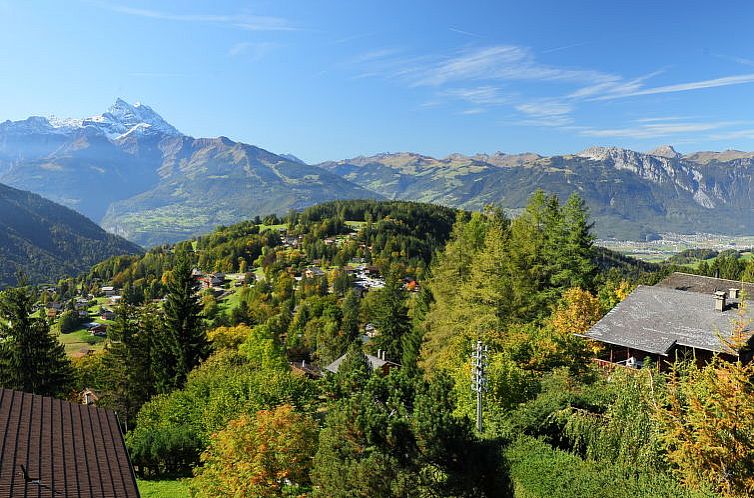 Vakantiehuis Chalet Zan-Fleuron