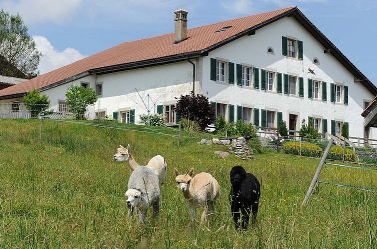 Appartement Gîte - Ferme O'Clés