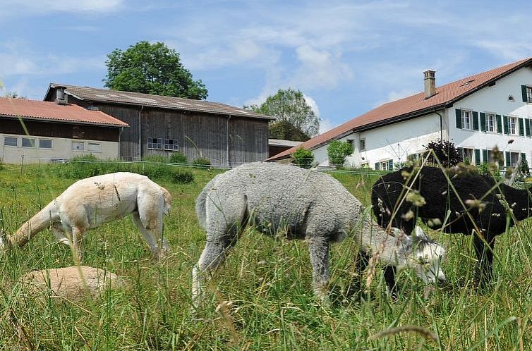 Appartement Gîte - Ferme O'Clés