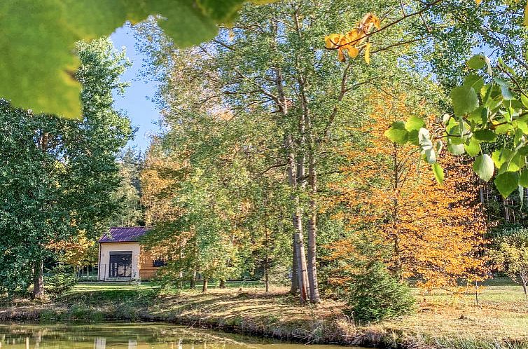 Vakantiehuis Cosy tiny house