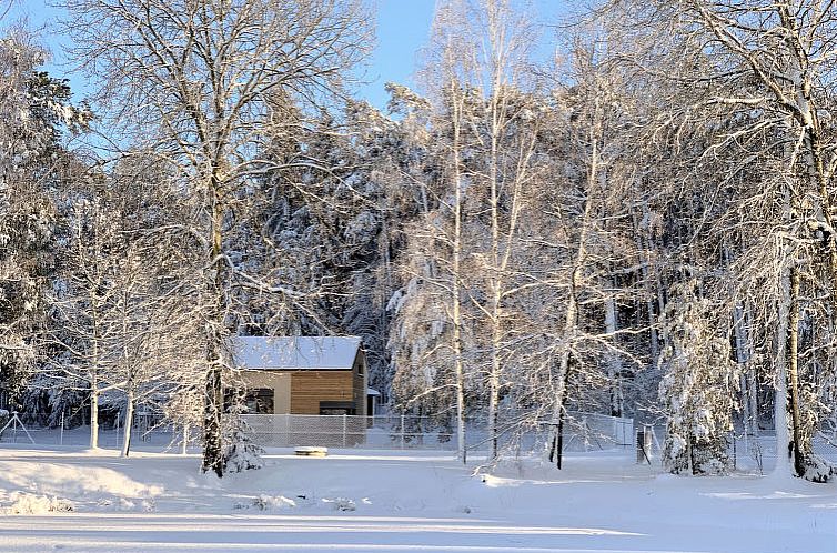 Vakantiehuis Cosy tiny house