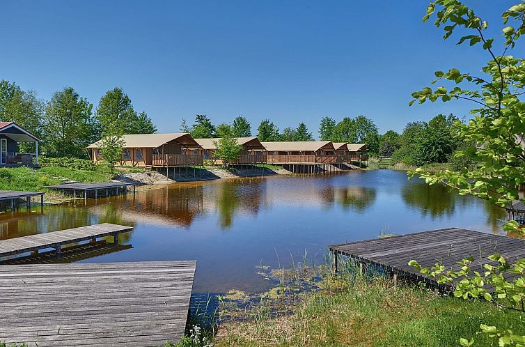 Groepsverblijf groepstent + vier luxe 6-pers. glamping