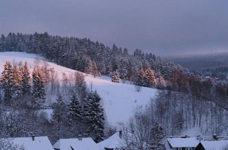 Bio-Hotel Zum Forsthaus