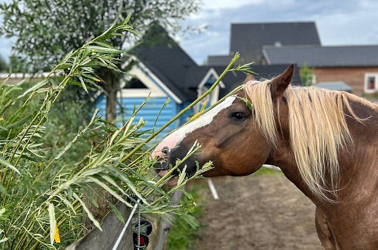 Huisje in Almere