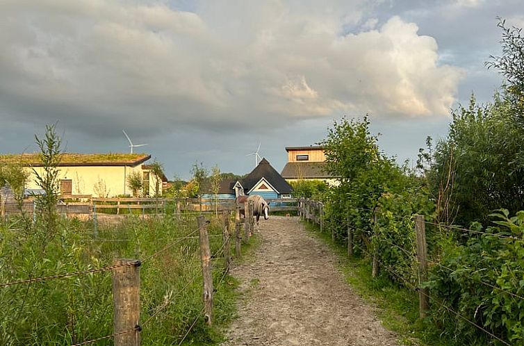 Huisje in Almere