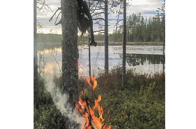 Vakantiehuis Virsuniemi