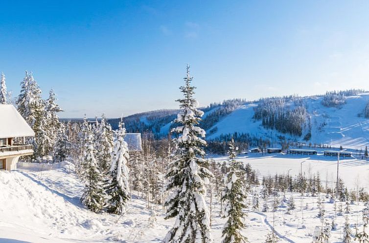 Vakantiehuis Alppikylä 1a paritalo