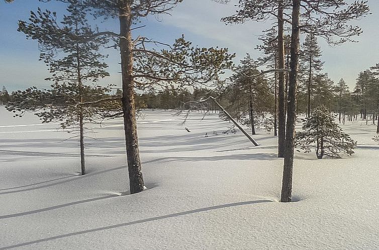 Vakantiehuis Lystikämän tupa