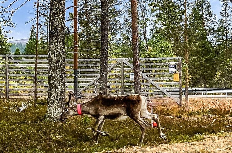 Vakantiehuis Haukka