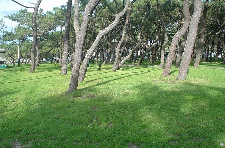 Parque de Campismo da Praia da Barra