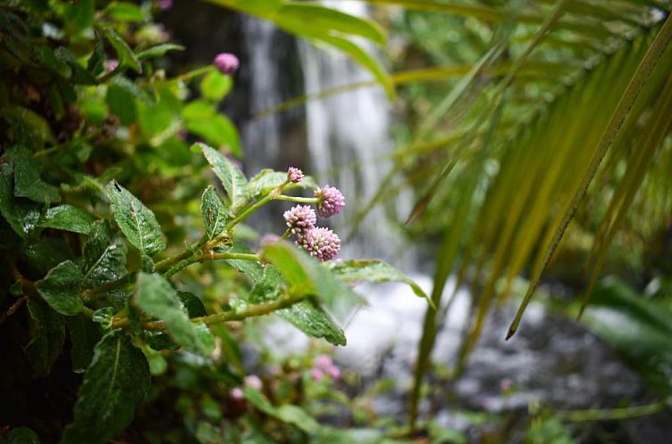 Waterfalls Boutique Hotel