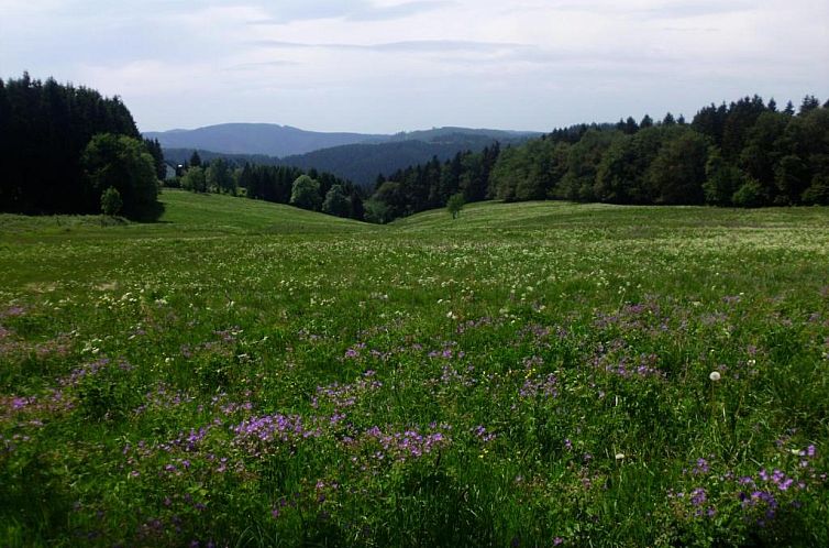 Hotel Pension Fernblick