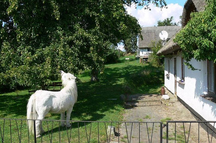 Landhotel Rügen