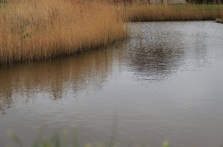 Vakantiehuis in Harlingen