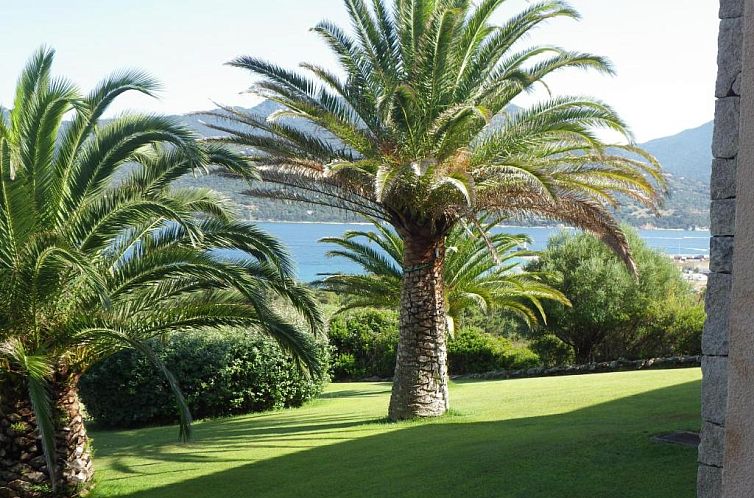 Marina di fiori