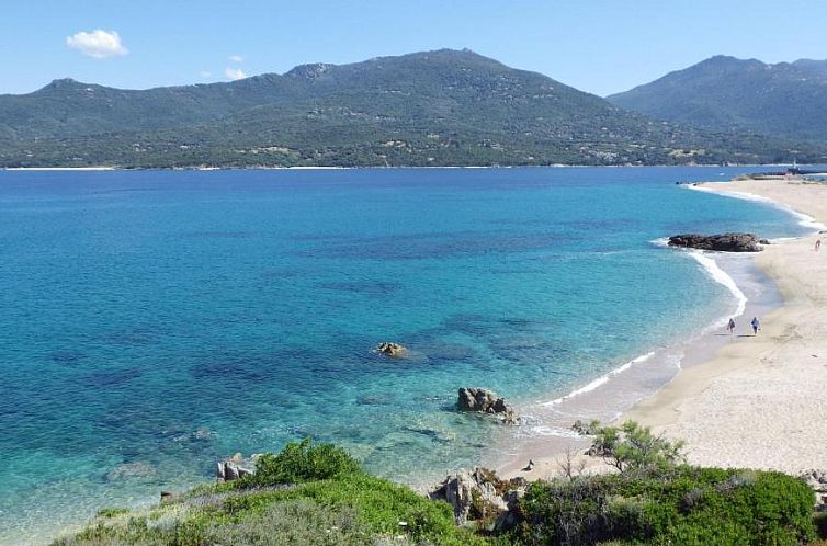 Marina di fiori