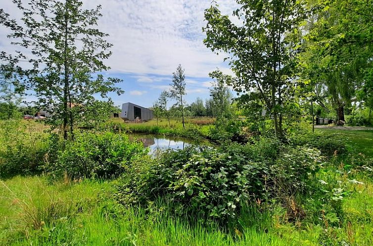 Vakantiehuisje in Westergeest