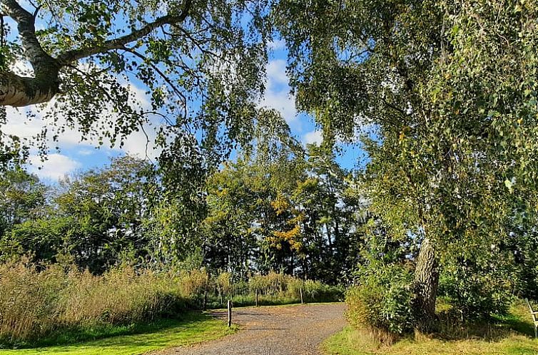 Vakantiehuisje in Westergeest