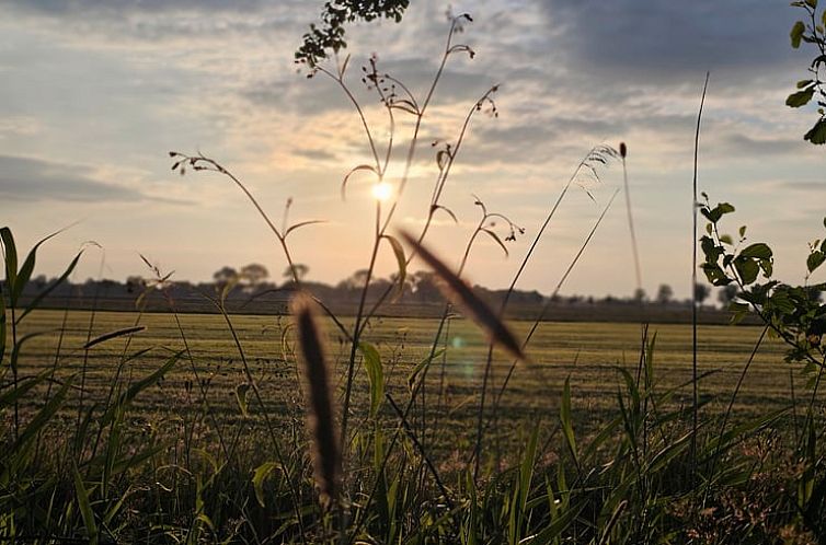 Huisje in Westergeest