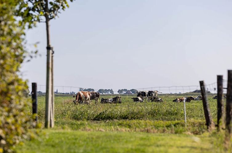 Huisje in Greonterp