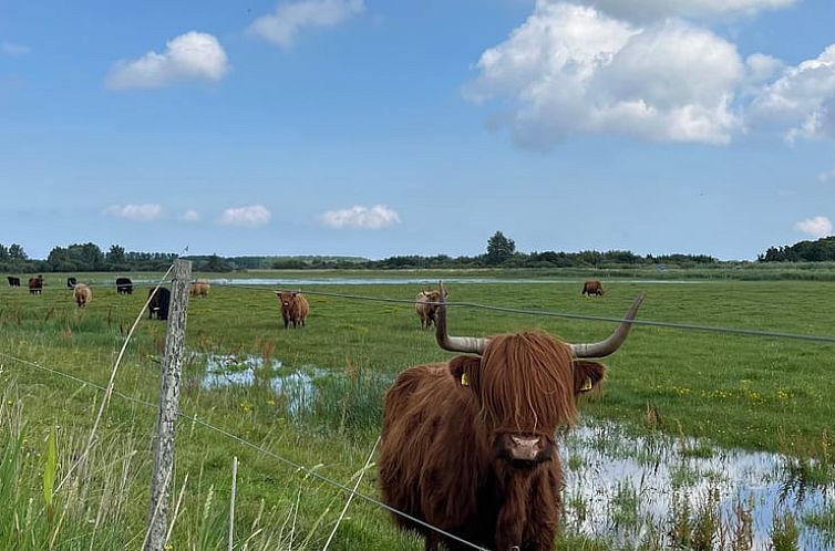 Vakantiehuisje in Lioessens