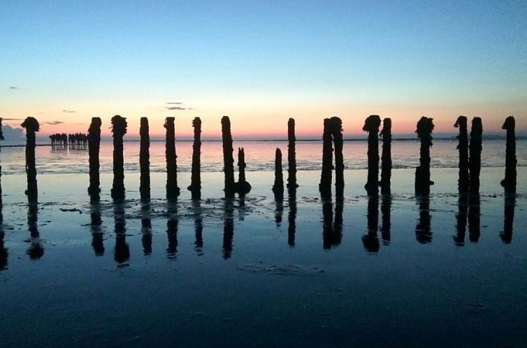 Vakantiehuis Bargereed 4 Tzummarum