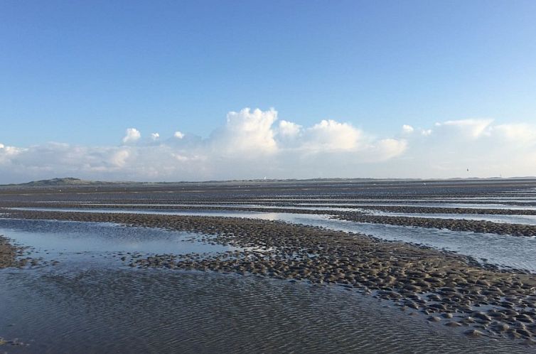 Vakantiehuis Bargereed 4 Tzummarum