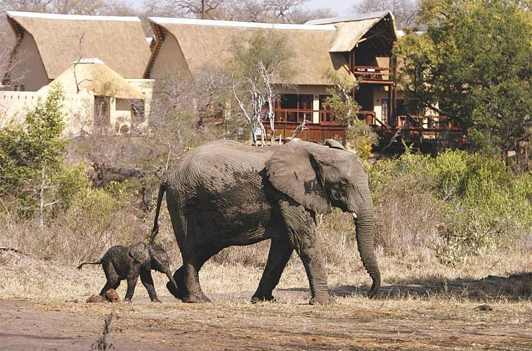 Elephant Plains Game Lodge