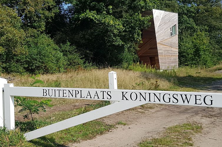 Buitenplaats Koningsweg 70, Follie "BAT"