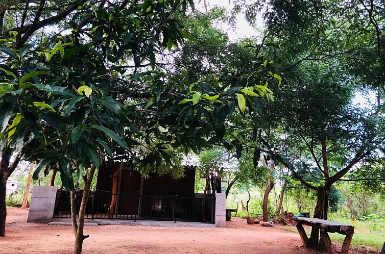 The Summer Corridor - Kataragama