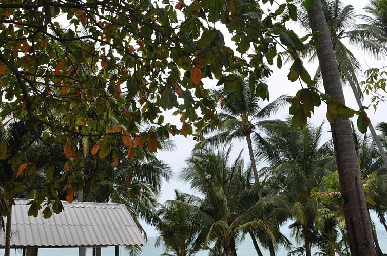 Coconut Beach Resort