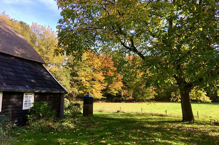 Huisje in Vierakker