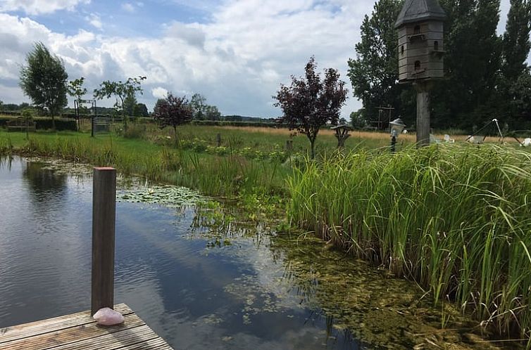 Vakantiehuisje in Toldijk