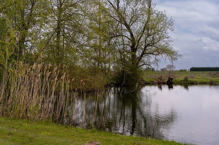 Huisje in Heesselt