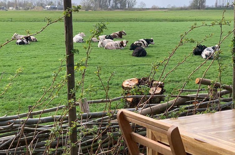 Vakantiehuisje in Poederoijen