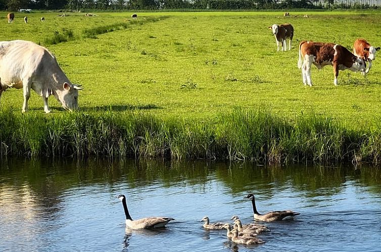 Vakantiehuisje in Poederoijen