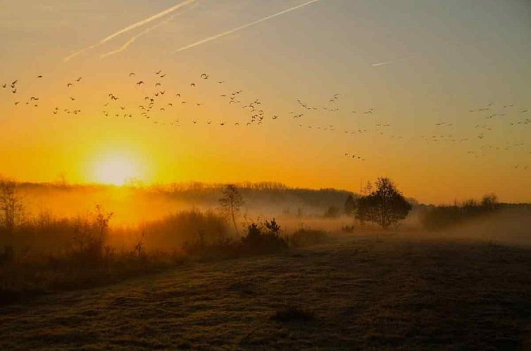 Prachtig 4 persoons vakantiehuis nabij Winterswijk en de