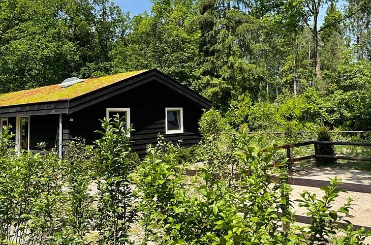 Gelijkvloerse 4 persoons bungalow met grote tuin in