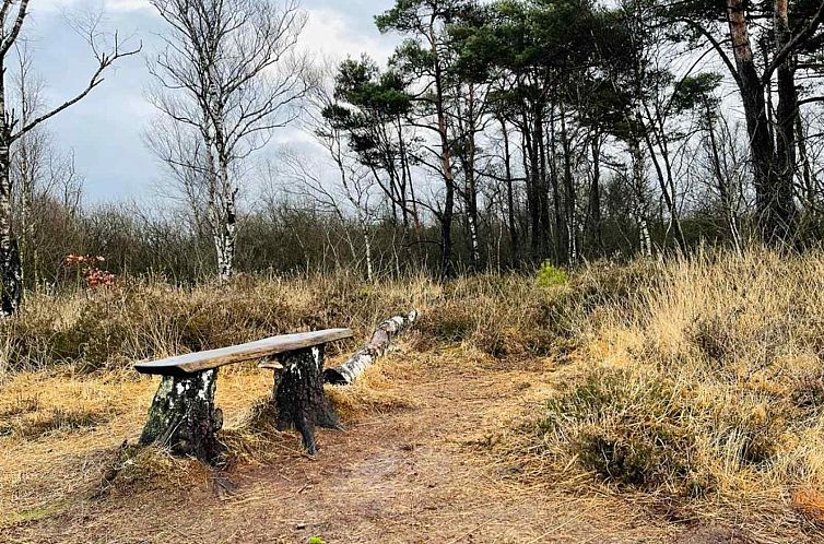 Gelijkvloerse 4 persoons bungalow met grote tuin in