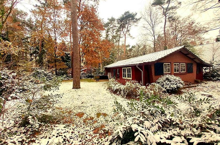 Sfeervol 4-persoons vakantiehuis met houtkachel in de natuur