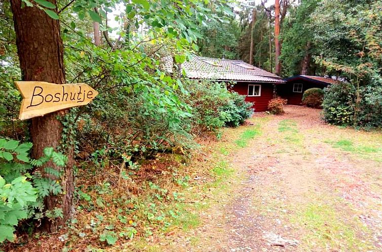 Sfeervol 4-persoons vakantiehuis met houtkachel in de natuur